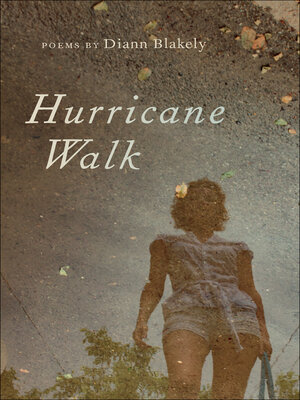 cover image of Hurricane Walk